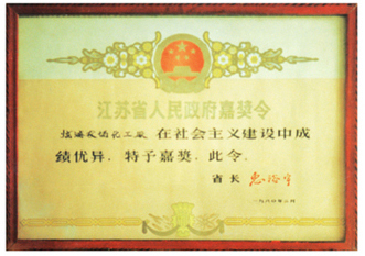 江苏省人民政府嘉奖令